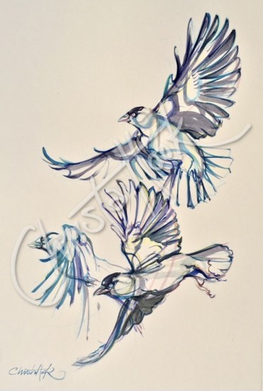Jackdows in Flight